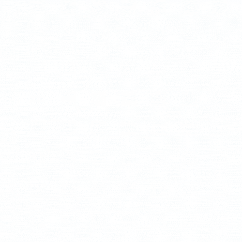 25th Anniversary Pulse Animation Plus Materials Logo Loader
